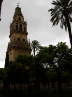 Mesquita