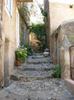 Pigna